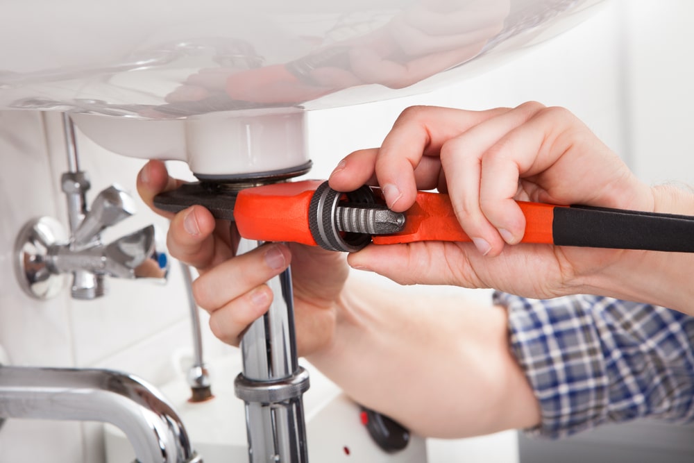 Should I get into professional plumbing?